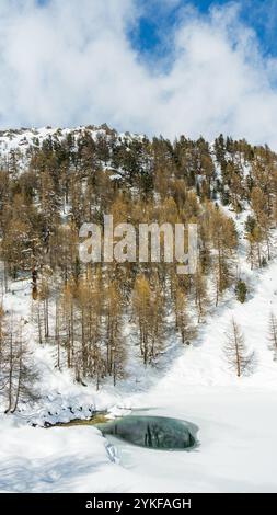 Eine beschauliche Winterszene in den Alpen mit schneebedeckten Bäumen und einem kleinen gefrorenen Teich unter einem hellblauen Himmel, der die Ruhe des sno einfängt Stockfoto