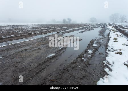 Eine Pfütze auf einer matschigen Feldstraße durch verschneite Felder, nebeliger Winter februar Tag, Nowiny, Ostpolen Stockfoto