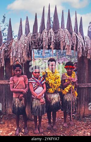 Vier junge Huli-Mädchen stehen vor dem befestigten Tor des Hedemari-Dorfes in der Provinz Hela im südlichen Hochland von Papua-Neuguinea Stockfoto