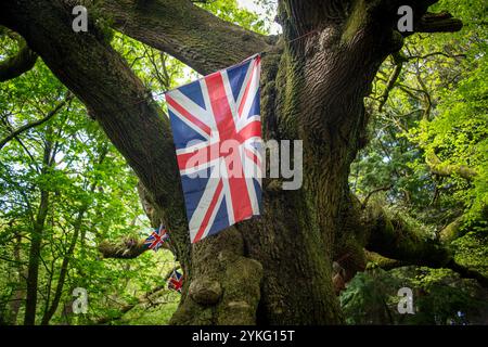 Union Jack Flagge auf einem Baum, britische Feier Stockfoto