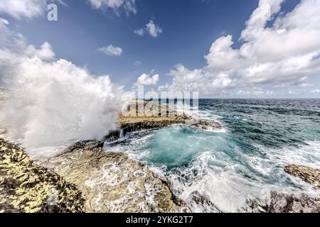 Boka Pistol ist eine kleine felsige Bucht, in der normale Wellen mit einem Knall einen hohen Sprühbrunnen erzeugen. Weg Zonder Naam, Sabana Westpunt, Curacao, Kòrsou Stockfoto