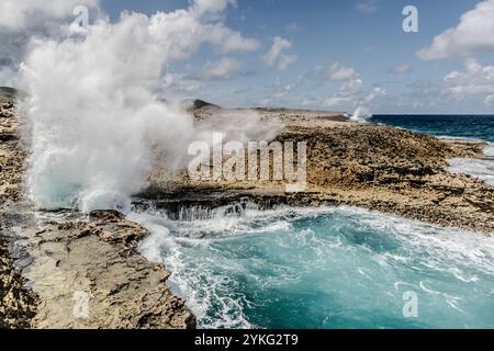 Boka Pistol ist eine kleine felsige Bucht, in der normale Wellen mit einem Knall einen hohen Sprühbrunnen erzeugen. Weg Zonder Naam, Sabana Westpunt, Curacao, Kòrsou Stockfoto