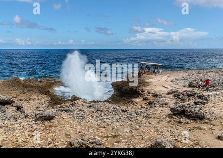 Boka Pistol ist eine kleine felsige Bucht, in der normale Wellen mit einem Knall einen hohen Sprühbrunnen erzeugen. Weg Zonder Naam, Sabana Westpunt, Curacao, Kòrsou Stockfoto