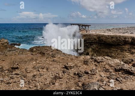 Boka Pistol ist eine kleine felsige Bucht, in der normale Wellen mit einem Knall einen hohen Sprühbrunnen erzeugen. Weg Zonder Naam, Sabana Westpunt, Curacao, Kòrsou Stockfoto