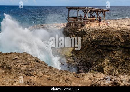 Boka Pistol ist eine kleine felsige Bucht, in der normale Wellen mit einem Knall einen hohen Sprühbrunnen erzeugen. Weg Zonder Naam, Sabana Westpunt, Curacao, Kòrsou Stockfoto