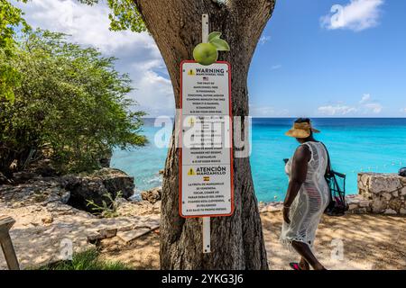 Ein dreisprachiges Warnschild (Englisch, Niederländisch, Spanisch) auf einem Manchineelbaum (Hippomane mancinella) in der Grote Knip Lagune, Curacao, mit dem Karibischen Meer im Hintergrund. Das Schild warnt die Besucher, den Baum nicht zu berühren, seine Früchte zu essen oder unter ihm zu stehen, wenn es regnet. Die Manchineel ist im Guinness-Buch der Rekorde als der giftigste Baum der Welt aufgeführt. Lagune Grote Knip, Willemstad, Curacao, Kòrsou Stockfoto