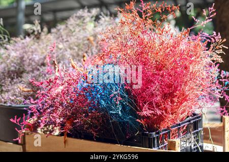 Sammlung von bunten getrockneten Pflanzen oder Blumen auf der Straße. Die Pflanzen werden in leuchtenden Farben wie Rot, Rosa und Blau gefärbt und erzeugen so eine visuelle Darstellung Stockfoto