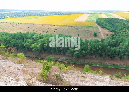 Malerische Landschaft mit einem Fluss im Vordergrund, Bäumen entlang des Flusses und weitläufigen landwirtschaftlichen Feldern von oben. Die Felder sind in Sekte unterteilt Stockfoto