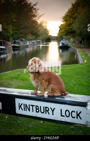 Kick Back Times - The Dundas Arms, Kintbury, Berkshire. Barney Stockfoto