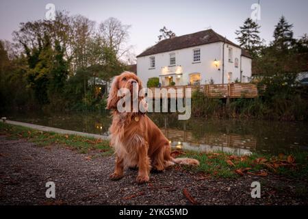 Kick Back Times - The Dundas Arms, Kintbury, Berkshire. Barney Stockfoto