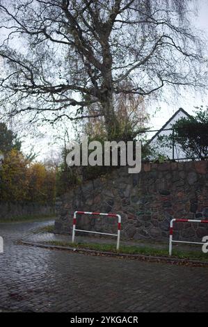 Flensburg, Schleswig-Holstein Stolperstein Bredeberg 1, Flensburg, hier: Aufnahme hochkannt, hinter der Steinfassade ein Gebäude. Stand vom Sicht aus Hohlwegschule. Unter der Adresse wohnte Josais Isaac, geboren am 10. Januar 1885 in Flensburg. Er kam 1938 in Schutzhaft nach Dachau und wurde im April 1942 nach Piaski in Polen ins Ghetto deportiert und dort ermordet. Aufnahme vom 18. November 2024, Flensburg. *** Flensburg, Schleswig Holstein Stolperstein Bredeberg 1, Flensburg, hier Foto hoch oben, hinter der Steinfassade ein Baustand aus Sicht Hohlwegschule Josais Isaac, geboren am 10. Januar Stockfoto