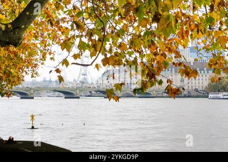 Victoria Tower Gardens South, London, Großbritannien. November 2024. Wetter in Großbritannien: Herbst in Victoria Tower Gardens South, London. Quelle: Matthew Chattle/Alamy Live News Stockfoto