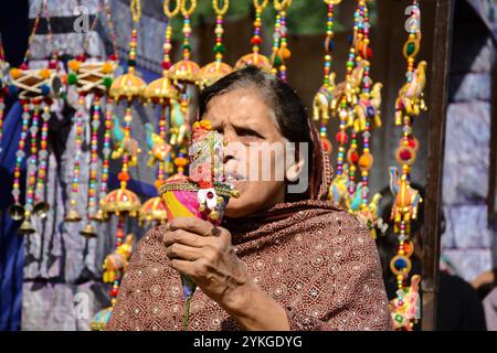 Islamabad, Pakistan. November 2024. Wunderschöne handgefertigte Puppen, die mit Kulturkleidung und Ornamenten aus allen Provinzen Pakistans dekoriert sind. Ihre Kleidung identifiziert nicht nur die verschiedenen Provinzen, sondern zeigt auch ihre Bräuche und Traditionen. So zeigt eine Puppe mit Burka und Mütze das Schleierritual der Provinz Khyber Pakhtunkhwa, während eine Puppe mit einer Sindhi-Mütze die Kultur des Sindh zeigt. Fawzia und ihre Tochter Ambrin Fatima haben nicht nur ihren Stand im Volkserbe aufgebaut, sondern sind ein integraler Bestandteil jedes Kulturfestivals in ganz Pakistan, weil niemand in Pakistan Ha tut Stockfoto