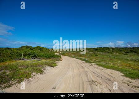 Straße an der Atlantikküste im Norden Brasiliens. Stockfoto