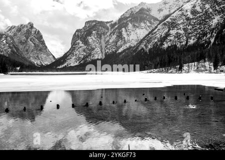 Verschneite Berge spiegeln sich am Toblacher See mitten in den dolomiten Stockfoto