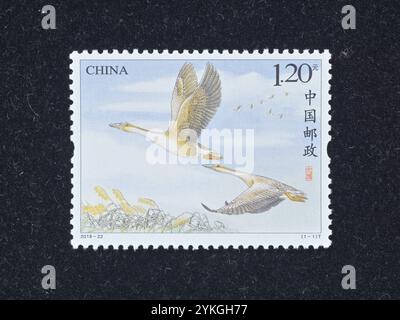 CHINA - CIRCA 2018: In China gedruckte Briefmarken zeigen um 2018. Stockfoto