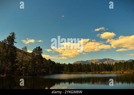 See auf dem Bauernhof Stockfoto