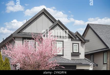 Fassade des Hauses mit Fenstern und blauem Himmel im Hintergrund und blühendem Sakura, gelegen in einem ruhigen Wohnviertel, mit viel Platz für Tex Stockfoto