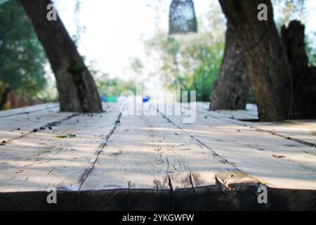 Blick auf den verschwommenen Gartenhintergrund vom alten Holztisch unter alten Bäumen. Stockfoto