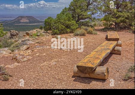 Zwei Sitzbänke aus Baumstämmen am Südrand des Grand Canyon Arizona östlich des Desert View Point. Der flache Gipfel in der Ferne ist der Cedar Mountain. Stockfoto