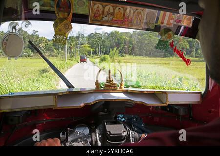 Blick von einem Tuktuk auf ein Tuktuk und die Reisfelder, Kandy, Zentralprovinz, Sri Lanka, Asien Stockfoto