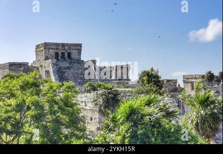 Alte Tulum Ruinen Maya-Stätte mit Tempelruinen Pyramiden und Artefakte in den tropischen natürlichen Dschungel Wald Palme und Seenlandschaft Panoramablick in Tulum Stockfoto