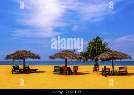 Wunderschöner Strand mit tropischer Natur, Sandwasserwellen, die Leute haben Spaß an Sonnenschirmen und Liegestühlen in Bentota Beach auf Sri Lanka Insel Stockfoto