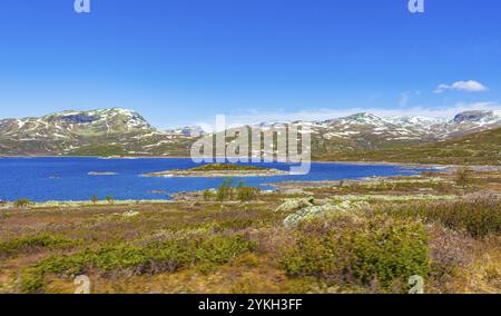 Fantastisches Panorama des Vavatn Sees raue Landschaft Blick auf Felsen Felsen und Berge im Sommer in Hemsedal Norwegen Stockfoto