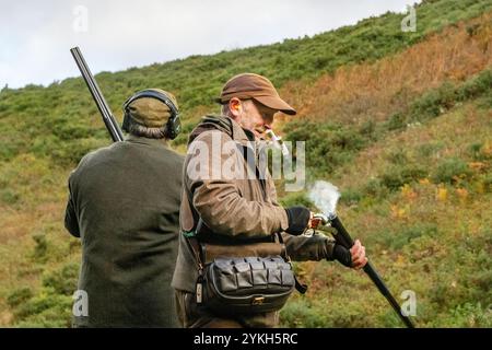 Bilder des Schießens von gefahrenen Wildvögeln, einschließlich Auerhühnern, auf einem schottischen Highland Estate. Stockfoto