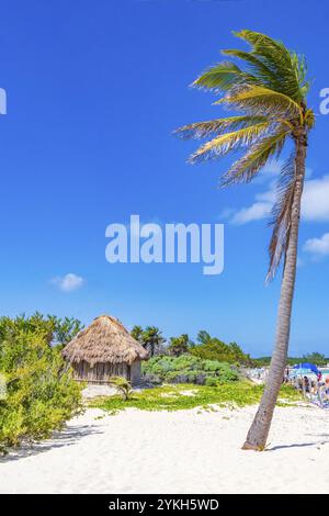 Tropischer natürlicher mexikanischer Strand 88 mit Palmen und Hütte in Playa del Carmen Mexiko Stockfoto