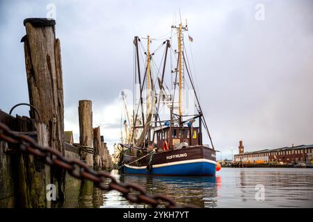 Cuxhaven, Deutschland. November 2024. Ein Garnelenschneider namens „Hoffnung“ liegt im Hafen. Die 2. Norddeutsche Fischereikonferenz findet in Cuxhaven statt. Thema der Konferenz ist die Sicherung und nachhaltige Entwicklung der deutschen Küstenfischerei. Quelle: Sina Schuldt/dpa/Alamy Live News Stockfoto