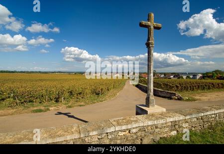 Romaneé-Conti Weinberg Steinkreuz Marker mit Romanée-St-Vivant in Landschaft hinter, Vosne-Romanée, Côte d'Or, Frankreich Stockfoto