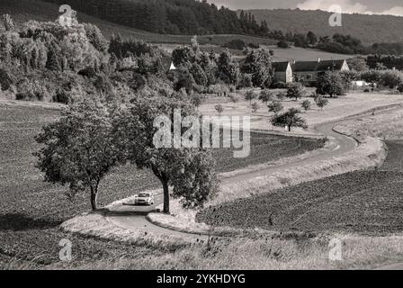 Retro Burgund Touring France Urlaub mit dem Auto in der ruhigen ländlichen ländlichen französischen Landschaft in der Nähe von Curtil-Vergy, in den Weinbergen der Hautes Cotes de Nuits Cote d'Or, Frankreich. S&W Retro Vintage-Behandlung. Baumbogen Bauernhof ländliche Landschaft Frankreich Stockfoto