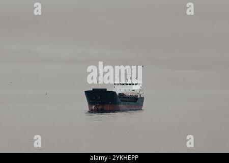 Kleines Tankschiff, das an einem grauen Tag im Hafen fährt. Stockfoto