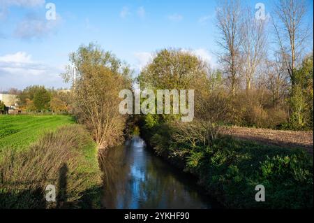 Der Fluss Senne und die natürliche Umgebung im Naturschutzgebiet Groene Beemde in Lot, Beersel, Flämisch-Brabant, Belgien Stockfoto