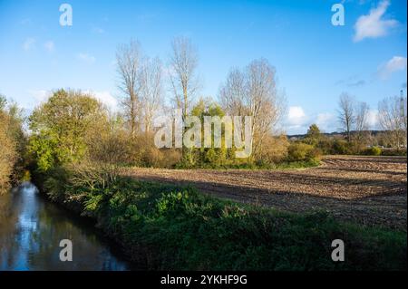 Der Fluss Senne und die natürliche Umgebung im Naturschutzgebiet Groene Beemde in Lot, Beersel, Flämisch-Brabant, Belgien Stockfoto