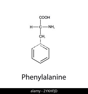 Chemische Formel des Phenylalanins. Essentielle Aminosäuren. Organische Chemie. Vektorabbildung. Stock Vektor