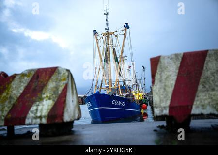 Cuxhaven, Deutschland. November 2024. Ein Garnelenschneider liegt im Hafen. In Cuxhaven findet die 2. Norddeutsche Fischereikonferenz statt. Thema der Konferenz ist die Sicherung und nachhaltige Entwicklung der deutschen Küstenfischerei. Quelle: Sina Schuldt/dpa/Alamy Live News Stockfoto