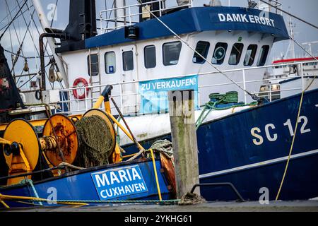 Cuxhaven, Deutschland. November 2024. „Zum Verkauf“ steht auf einem Poster auf einem Garnelenschneider, der im Hafen vertäut ist. In Cuxhaven findet die 2. Norddeutsche Fischereikonferenz statt. Thema der Konferenz ist die Sicherung und nachhaltige Entwicklung der deutschen Küstenfischerei. Quelle: Sina Schuldt/dpa/Alamy Live News Stockfoto