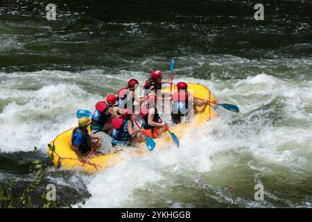 Besucher nehmen an Wildwasser-Rafting auf den Stromschnellen des Ocoee River im Cherokee National Forest Teil. (USDA Foto von Lance Cheung) Stockfoto