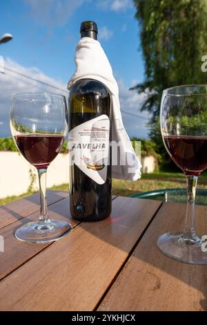 Flasche Rotwein und zwei Gläser auf einem Tisch in einem Garten auf Madeira. Stockfoto