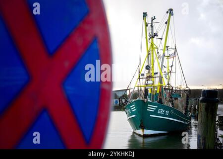 Cuxhaven, Deutschland. November 2024. Ein Garnelenschneider liegt im Hafen. In Cuxhaven findet die 2. Norddeutsche Fischereikonferenz statt. Thema der Konferenz ist die Sicherung und nachhaltige Entwicklung der deutschen Küstenfischerei. Quelle: Sina Schuldt/dpa/Alamy Live News Stockfoto