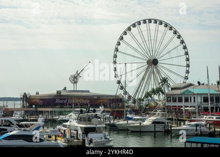 Panoramablick auf Skyviews Miami Observation Wheel und Hard Rock Cafe in Bayside Marketplace Gegend Stockfoto