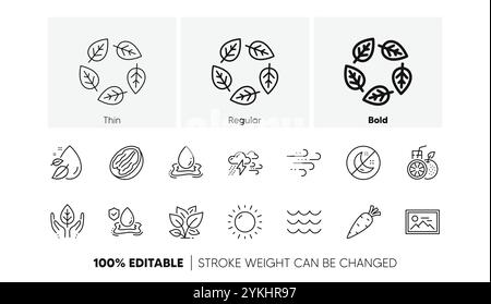 Symbole für Karotten, organisch getestet und sonniges Wetter. Für Web-App drucken. Zeilensymbole. Vektor Stock Vektor