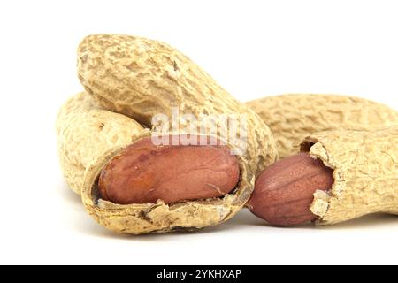 Eine detaillierte Nahaufnahme von Erdnüssen in ihren natürlichen Schalen, die Textur und natürliche Farben zeigen. Ideal für Ernährungskonzepte, Snacks und gesunde Ernährung Stockfoto