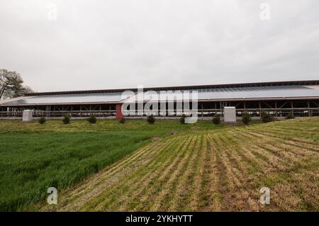 Eine freie Färsenscheune mit 720 Photovoltaik (Solarpaneelen) auf Brubaker Farms macht sie am 19. März 2011 sowohl zu einem Tagebuchproduzenten als auch zu einem Öko-Energieproduzenten in Mount Joy, PA. Die Familienfarm von Luke, Mike und Tony Brubaker hat etwa 850 Kühe und 700 Jungtiere, die letztes Jahr 20.200.000 Pfund Milch produziert haben. Es hat 13 Vollzeitangestellte und mehr als 1.500 Hektar Ackerland. Diese Färsenscheune mit 720 Photovoltaik (Solarpaneele) und zwei weiteren Gebäuden verfügt über insgesamt 777 Paneele, die 150 kW elektrische Energie erzeugen. Dies wurde mit Hilfe des Finanzministeriums ermöglicht. Stockfoto