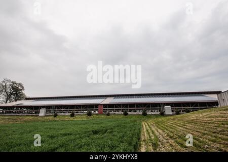 Eine freie Färsenscheune mit 720 Photovoltaik (Solarpaneelen) auf Brubaker Farms macht sie am 19. März 2011 sowohl zu einem Tagebuchproduzenten als auch zu einem Öko-Energieproduzenten in Mount Joy, PA. Die Familienfarm von Luke, Mike und Tony Brubaker hat etwa 850 Kühe und 700 Jungtiere, die letztes Jahr 20.200.000 Pfund Milch produziert haben. Es hat 13 Vollzeitangestellte und mehr als 1.500 Hektar Ackerland. Diese Färsenscheune mit 720 Photovoltaik (Solarpaneele) und zwei weiteren Gebäuden verfügt über insgesamt 777 Paneele, die 150 kW elektrische Energie erzeugen. Dies wurde mit Hilfe des Finanzministeriums ermöglicht. Stockfoto