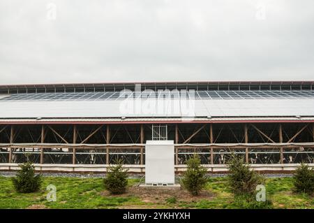 Eine freie Färsenscheune mit 720 Photovoltaik (Solarpaneelen) auf Brubaker Farms macht sie am 19. März 2011 sowohl zu einem Tagebuchproduzenten als auch zu einem Öko-Energieproduzenten in Mount Joy, PA. Die Familienfarm von Luke, Mike und Tony Brubaker hat etwa 850 Kühe und 700 Jungtiere, die letztes Jahr 20.200.000 Pfund Milch produziert haben. Es hat 13 Vollzeitangestellte und mehr als 1.500 Hektar Ackerland. Diese Färsenscheune mit 720 Photovoltaik (Solarpaneele) und zwei weiteren Gebäuden verfügt über insgesamt 777 Paneele, die 150 kW elektrische Energie erzeugen. Dies wurde mit Hilfe des Finanzministeriums ermöglicht. Stockfoto