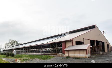 Eine freie Färsenscheune mit 720 Photovoltaik (Solarpaneelen) auf Brubaker Farms macht sie am 19. März 2011 sowohl zu einem Tagebuchproduzenten als auch zu einem Öko-Energieproduzenten in Mount Joy, PA. Die Familienfarm von Luke, Mike und Tony Brubaker hat etwa 850 Kühe und 700 Jungtiere, die letztes Jahr 20.200.000 Pfund Milch produziert haben. Es hat 13 Vollzeitangestellte und mehr als 1.500 Hektar Ackerland. Diese Färsenscheune mit 720 Photovoltaik (Solarpaneele) und zwei weiteren Gebäuden verfügt über insgesamt 777 Paneele, die 150 kW elektrische Energie erzeugen. Dies wurde mit Hilfe des Finanzministeriums ermöglicht. Stockfoto