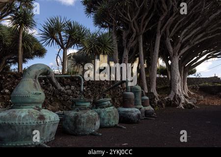 Das Weinmuseum von Pico befasst sich mit der Weinherstellung und der Geschichte der Weinproduktion auf der Insel Pico, Azoren, Portugal. Stockfoto